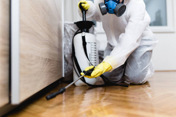 Best Emergency Pest Control  in Bertram, TX