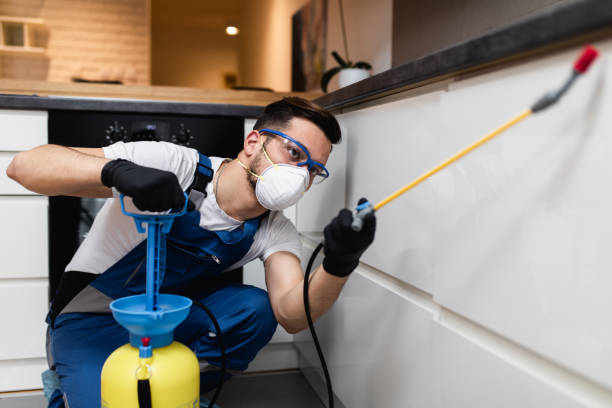 Best Mosquito Control Services  in Bertram, TX