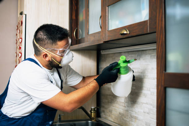 Best Exterminator Services  in Bertram, TX