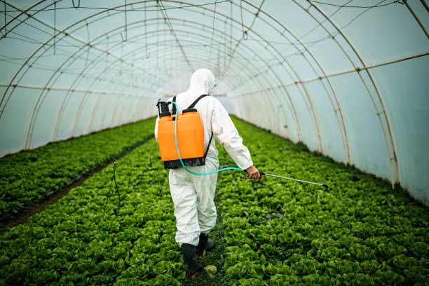 Best Pest Prevention Services  in Bertram, TX