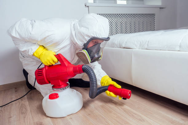 Best Local Pest Control Services  in Bertram, TX