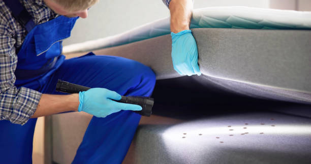 Best Exterminator Services  in Bertram, TX