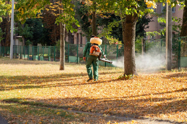 Professional Pest Control in Bertram, TX