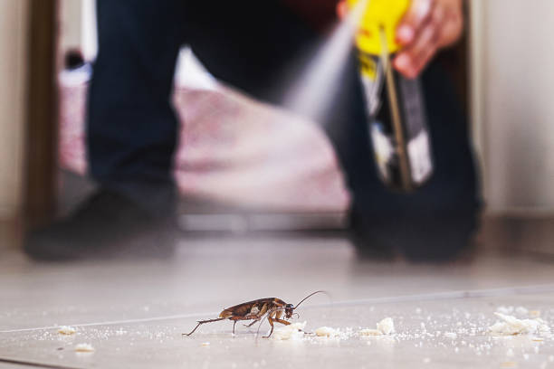 Best Pest Control for Businesses  in Bertram, TX