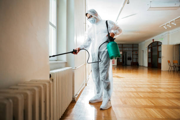 Best Ant Control Services  in Bertram, TX