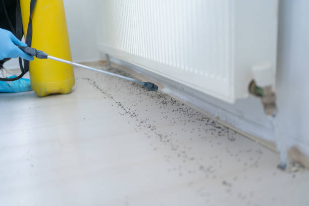 Best Affordable Pest Control Services  in Bertram, TX